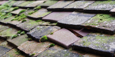 Grantchester roof repair costs